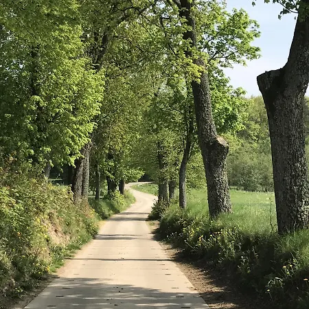 Borowiak Semesterpark Szteklin