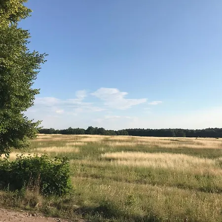 Borowiak * Szteklin