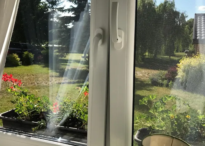 Borowiak منتزه العطل *