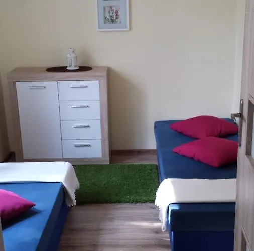 假日公园 Borowiak *