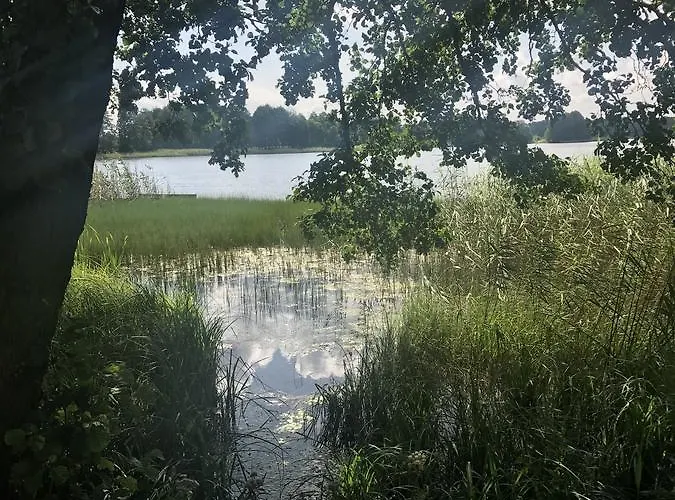 منتزه العطل Borowiak *